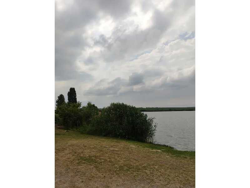 продажа земля сельскохозяйственного назначения Бородянский, Лубянка, 11893757 грн.  - зображення 11