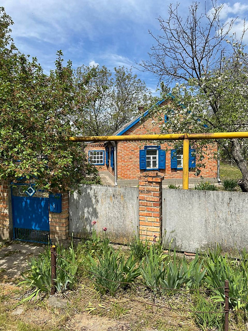 Продаю будинок в Сурсько-Литовське Днепр - изображение 6