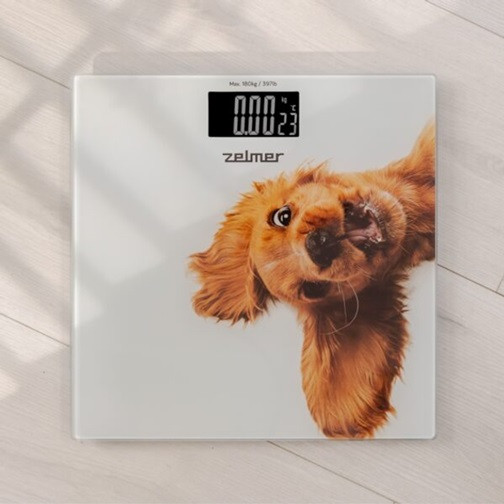 Весы напольные ZELMER ZBS1010 180 кг белые Киев - изображение 1