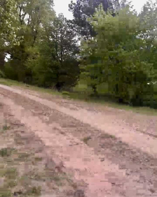 продажа земля сельскохозяйственного назначения Вышгородский, Жукин, 15400 $  - изображение 2