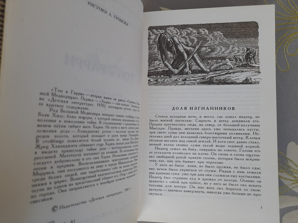 Лизелотта Вельскопф-Генрих Топ и Гарри бпнф приключения фантастика Запорожье - изображение 5