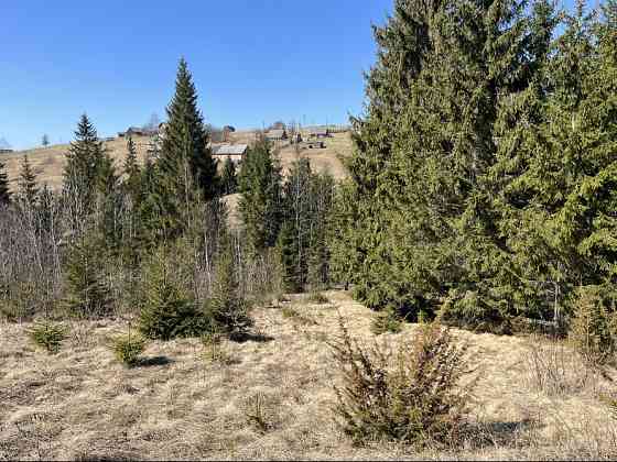 Земельна ділянка в Яблуниці 0.25 га Яремче