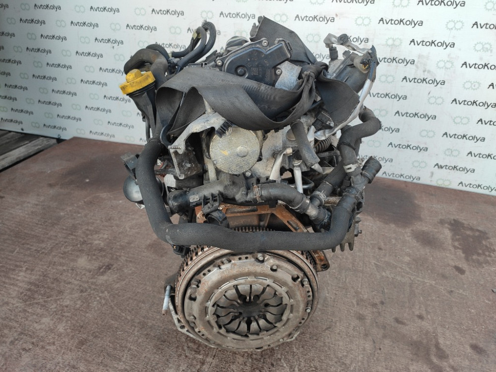 Двигатель Nissan Qashqai 1.5 dci 2007-2013 (K9K J896) Ковель - зображення 3