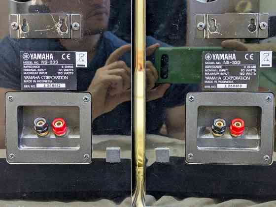Yamaha NS-333 6 Ohms Киев