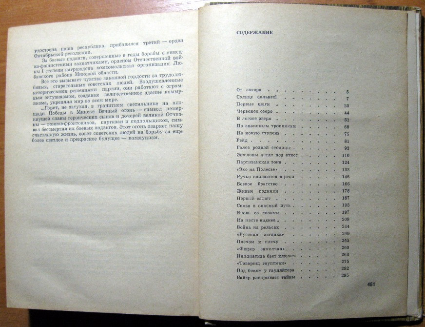 Вечный огонь. (Партизанские записки). Р. Мачульский Богодухів - зображення 3