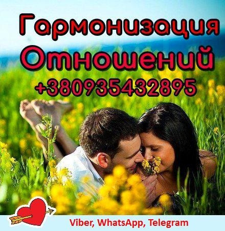 Гармонизация Отношений Київ - зображення 1