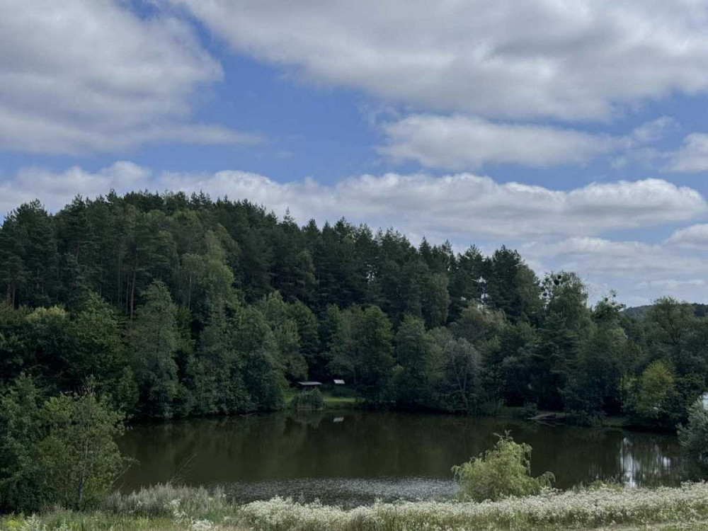 продажа земля сельскохозяйственного назначения Яворовский, Яворов, 13500 $ Яворів - зображення 8