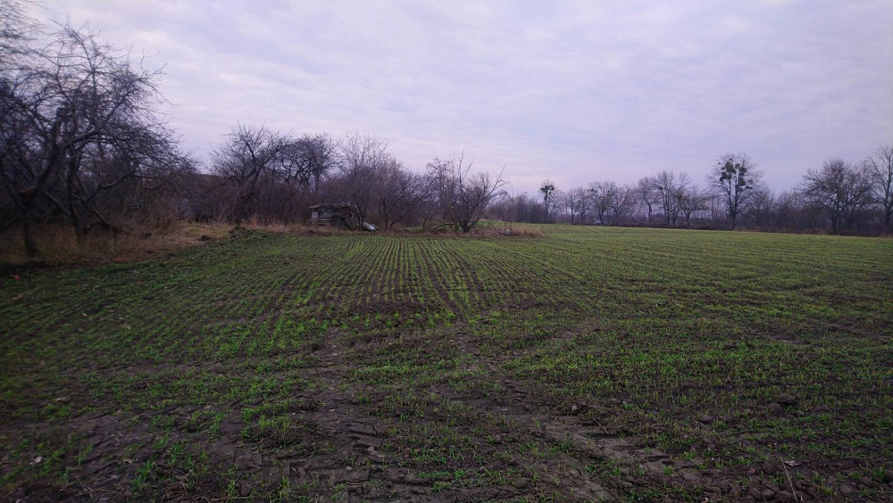 Продається земнльна ділянка Белая Церковь - изображение 7