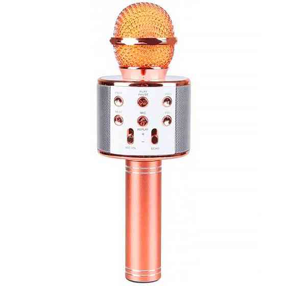 Караоке Микрофон-колонка WS858 Херсон