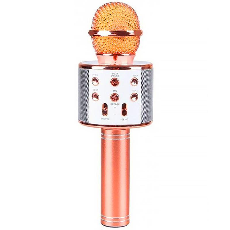 Караоке Микрофон-колонка WS858 Херсон - зображення 1