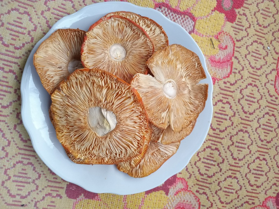 Шляпки червоного мухомора, 1 сорт. Овруч - изображение 2