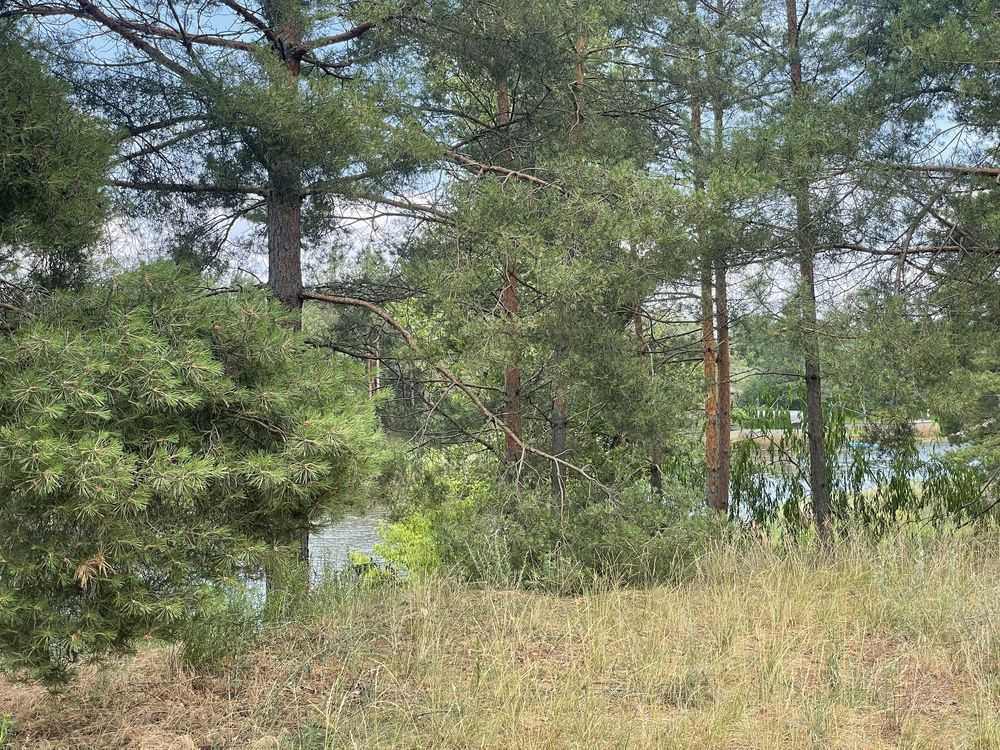 продажа участок под жилую застройку Вышгородский, Лебедевка, 750000 $  - зображення 5