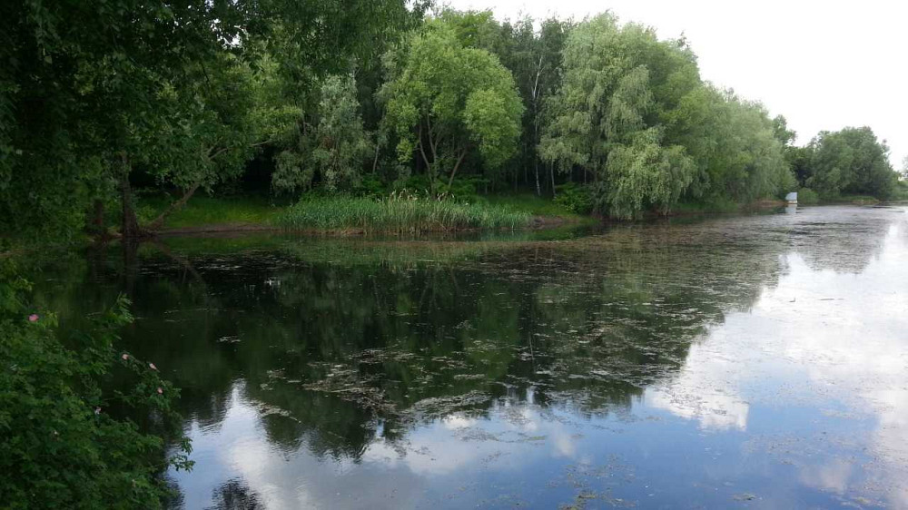 продажа 6-к дом Васильковский, Крушинка, 200000 $  - зображення 11