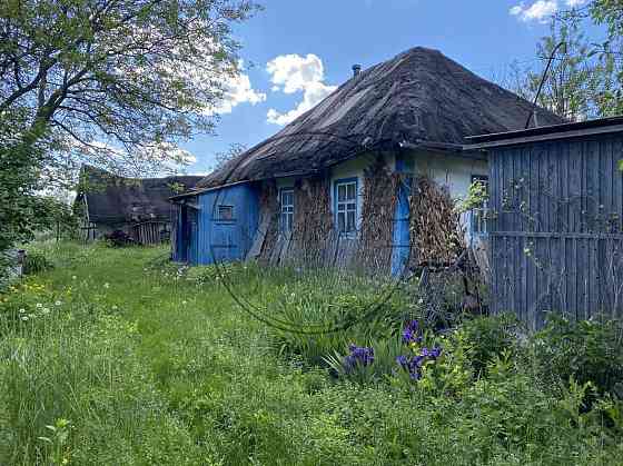 Продажа участка Киевская, Кагарлыцкий, Шубовка код 264706 Киев