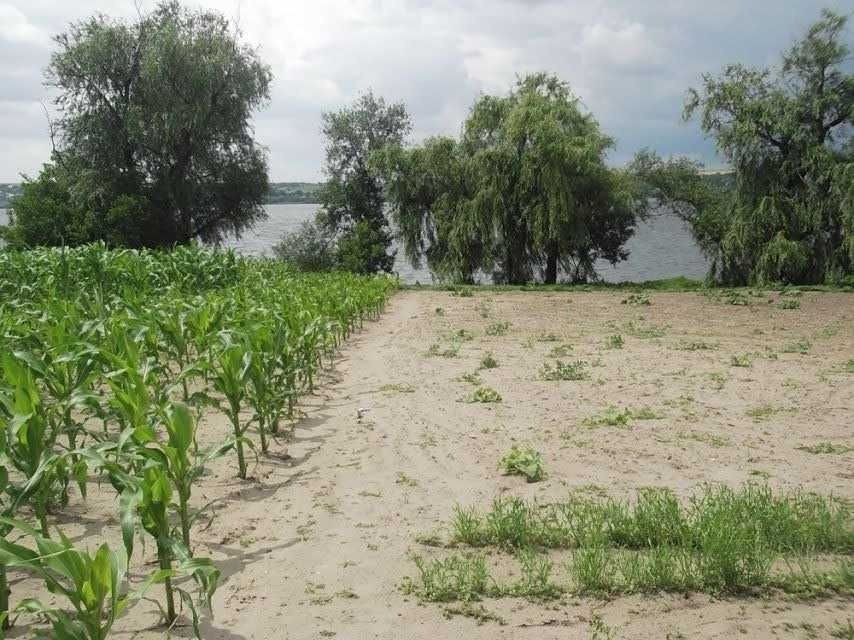 Продам будинок на березі Дніпра власний берег річки 25 соток землі Дніпро - зображення 7