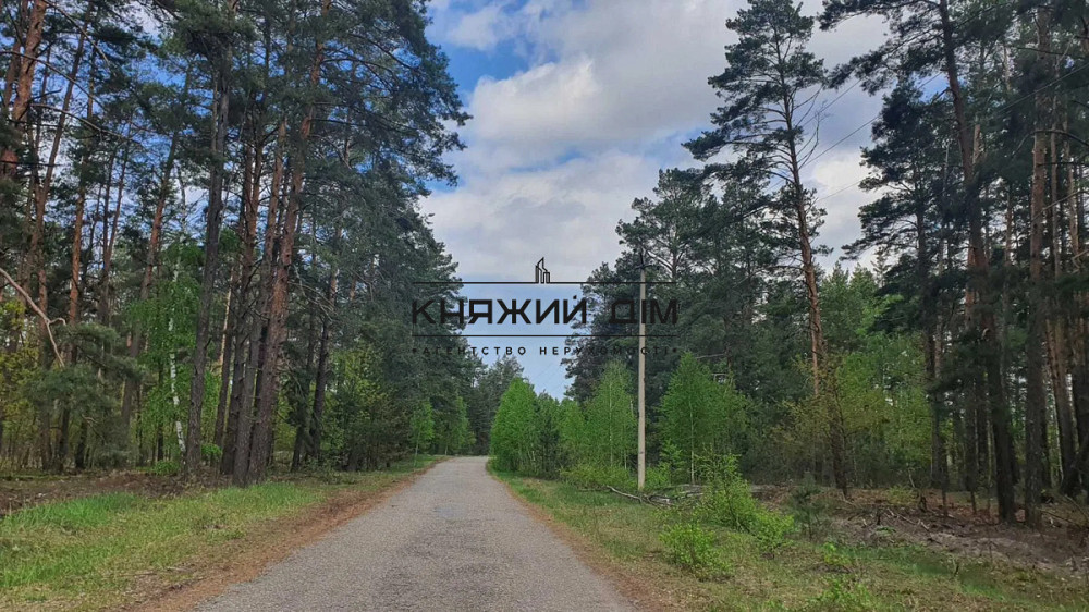 Продається будинок в Ровжах № 2211789 Київ - зображення 9