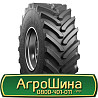 650/75 R32 Росава TR-07 172A8 Сільгосп шина Киев