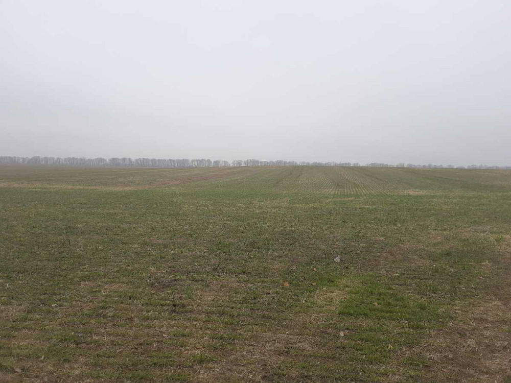 продажа земля сельскохозяйственного назначения Бориспольский, Вороньков, 159541 грн.  - зображення 3