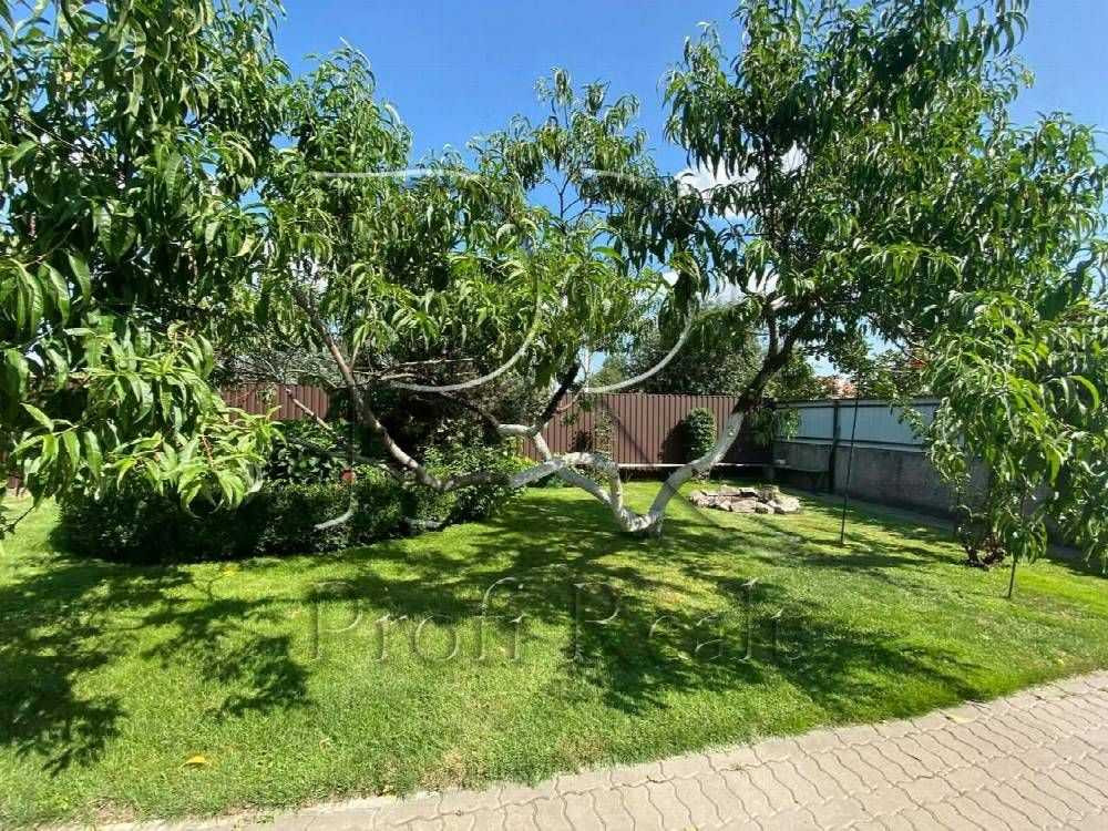 продажа 5-к дом Бориспольский, Петропавловское, 250000 $  - изображение 5