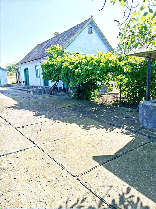 Домик в маленьком селе Одеса - зображення 2