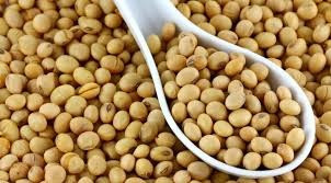 Постійно закуповую половинки сої та відходи кукурудзи Кропивницкий - изображение 1