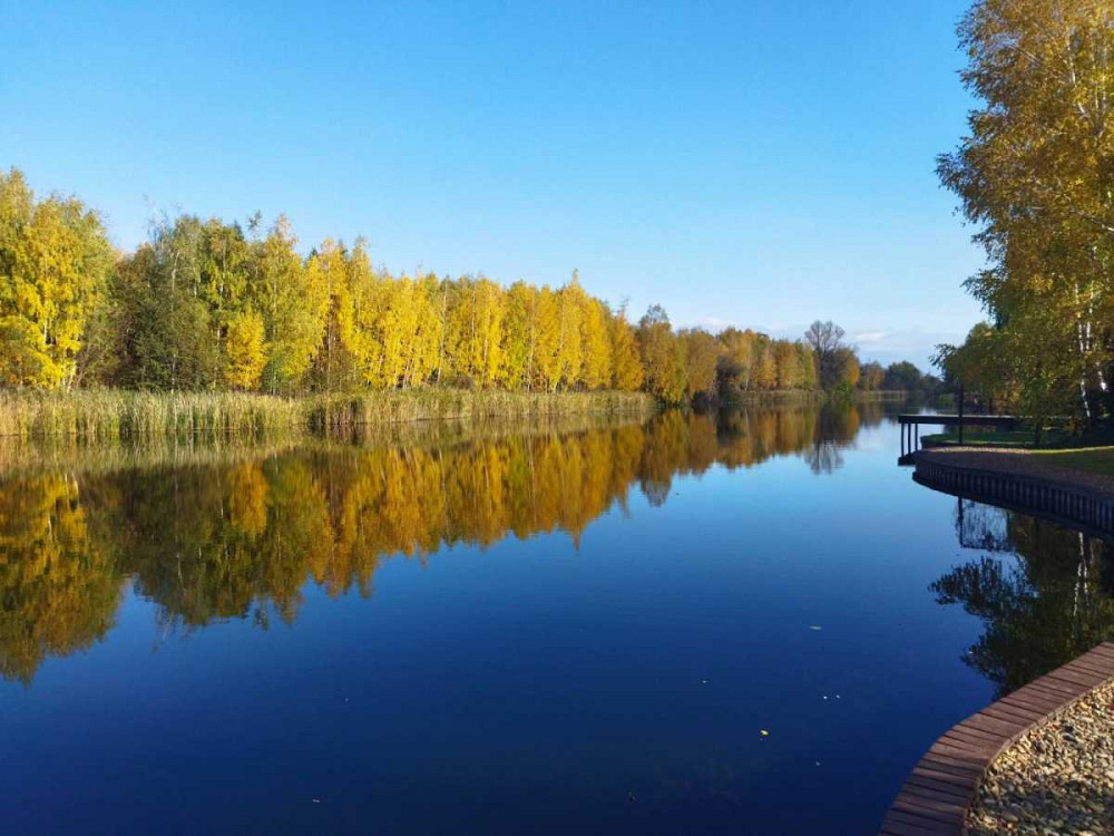 продажа 5-к дом Обуховский, Козин, 1990000 $  - изображение 2