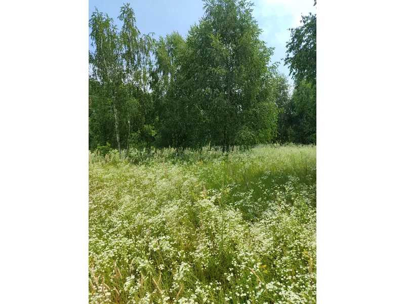 продажа земля сельскохозяйственного назначения Бородянский, Лубянка, 9370015 грн.  - зображення 5