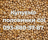 Постійно купуємо половинки сої Луцк