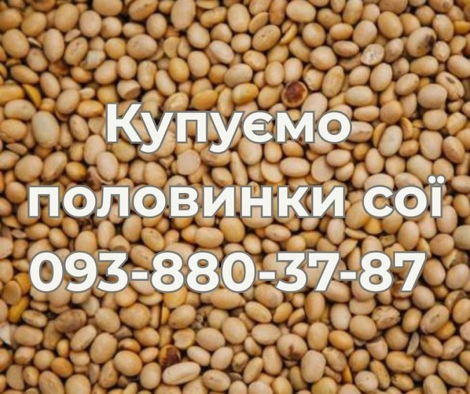 Постійно купуємо половинки сої Луцк - изображение 1