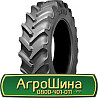 420/85 R24 Malhotra RRT-885 137/137A8/B Сільгосп шина Киев