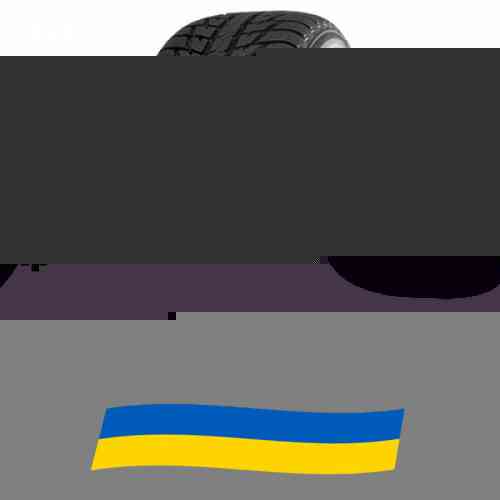 295/40 R20 Nokian WR SUV 3 110V Позашляхова шина Киев