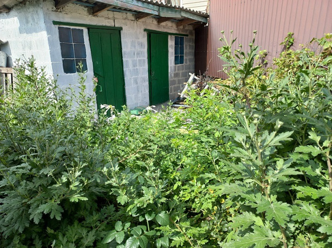 Продам 1/2 будинку КАЗБЕТ вул. Гоголя - Пушкіна Черкаси - зображення 12