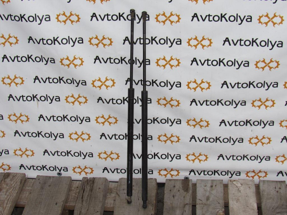 Амортизатор багажника Renault Scenic III 2009-2016 Ковель - зображення 1