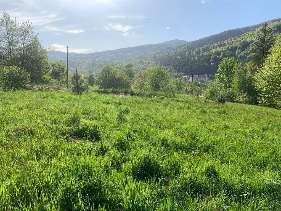 Земельна ділянка в Яремче 0.25 га Яремче - зображення 6