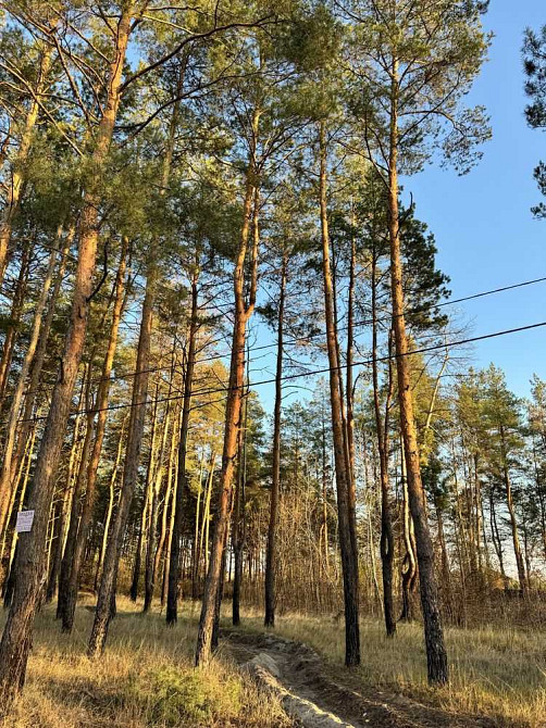 продажа участок под жилую застройку Новомосковский, Песчанка, 10000 $  - изображение 4