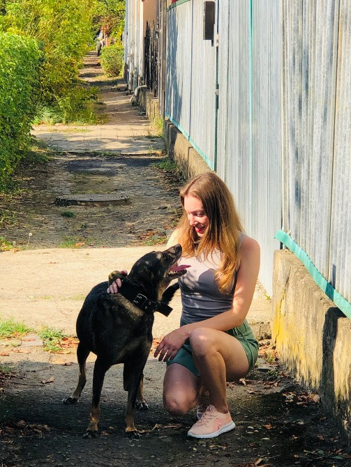 Послуги по вигулу собак Ужгород - изображение 4