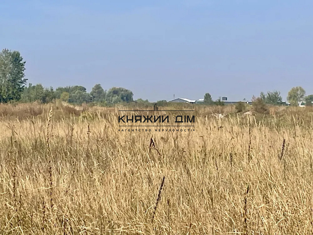 Земельна ділянки 5 км від Києва піж Житлову забудову 39 соток № 264769 Киев - изображение 7