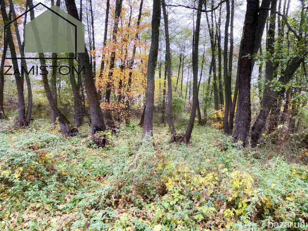 Продаж ексклюзивної ділянки під житлове будівництво 25 соток в с. Гнідин Київська область . 14 км ві Бориспіль - зображення 6