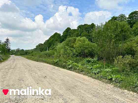 продажа земля сельскохозяйственного назначения Сколевский, Верхнее Синевидное, 20000 $ 