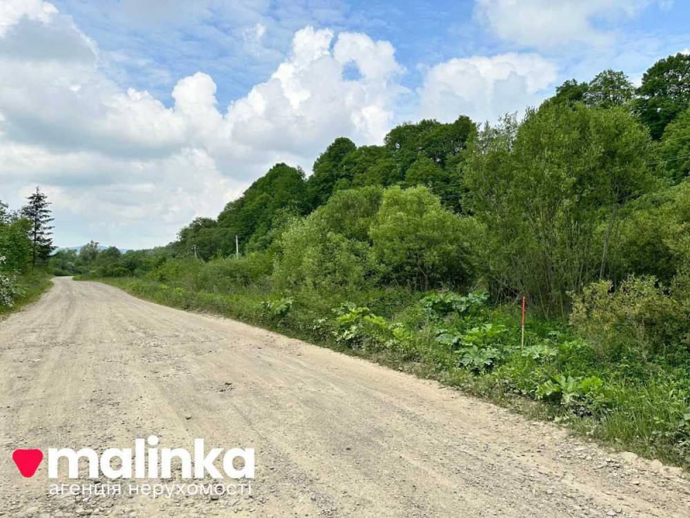 продажа земля сельскохозяйственного назначения Сколевский, Верхнее Синевидное, 20000 $  - изображение 4