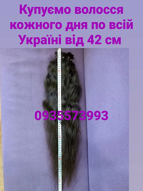 Купуємо волосся кожного дня по всій Україні від 42 см -0935573993 Киев - изображение 1