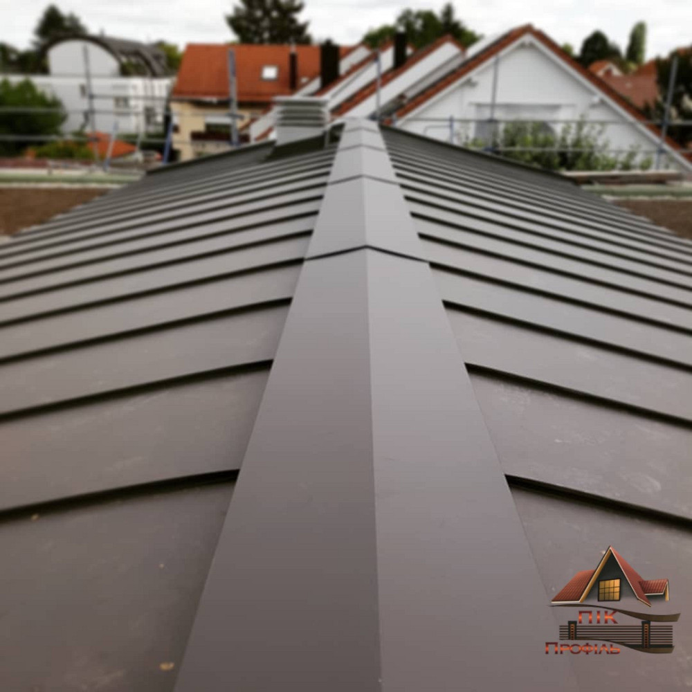 Коник звичайний, коник покрівельний, конек, коньок Киев - изображение 1