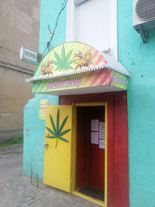 Продаж елітних зерен конопель оптом і вроздріб Харків - зображення 4