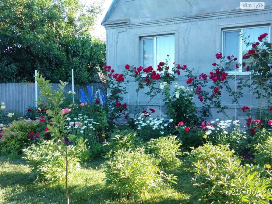 Продається будинок з 1 гектаром землі в с. Тавежня Харківської області Харків - зображення 5