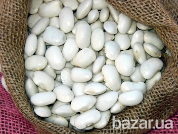 Куплю фасоль. Продать фасоль Полтава - изображение 1