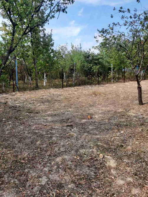 продажа участок под жилую застройку Ужгород, 13500 $ Ужгород - зображення 12