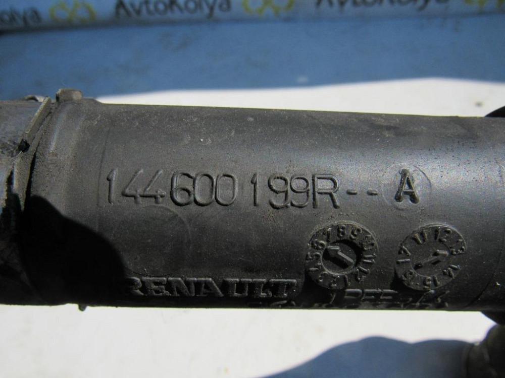Патрубок интеркулера Renault Kangoo 1.5 dci 2013-2019 (144600199R) Ковель - изображение 2