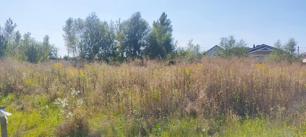 Терміновий продаж ділянки біля КМ “ Гавань”! Вишгород - зображення 4