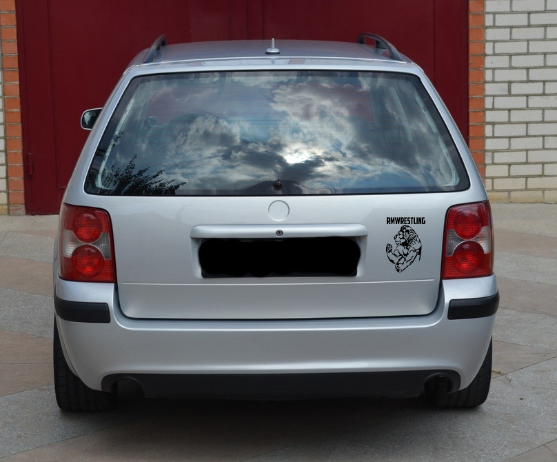 Наклейка Лев на авто Чёрная. Белая Киев - изображение 4