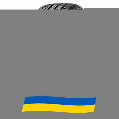 275/35 R19 Pirelli Winter Sottozero 2 100W Легкова шина Київ